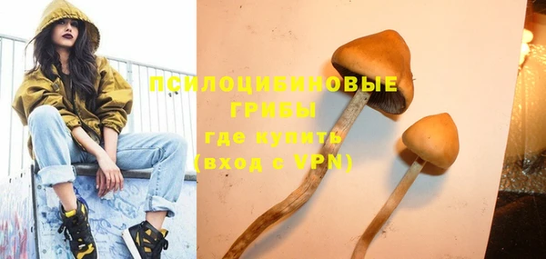 крисы Белоозёрский
