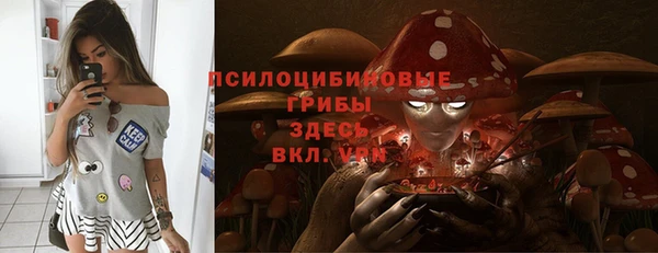 крисы Беломорск