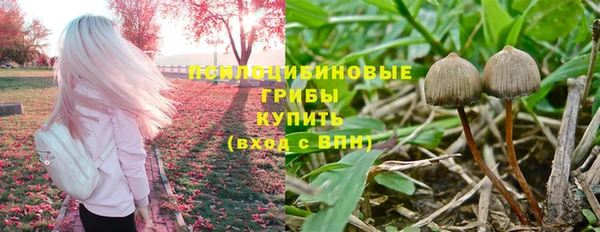 крисы Белоозёрский