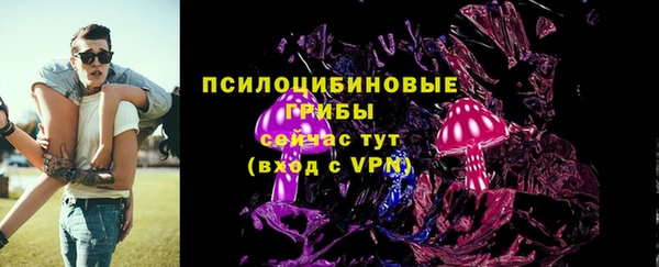 крисы Беломорск