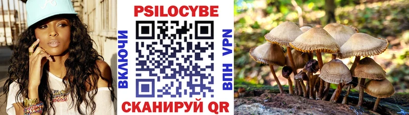 Галлюциногенные грибы MAGIC MUSHROOMS где купить Севск